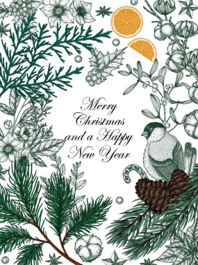  İşleme tarzında ispinozlu Noel bitkilerinin vektör çerçevesi. Kozalaklı Noel ağacı dalı, ardıç, çam, kutsal, thuja, ökseotu, karabatak, noktalı kalem, pamuk, baharat