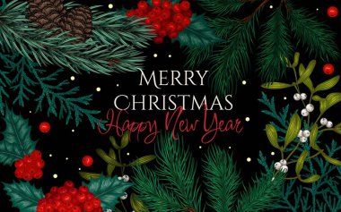  Noel bitkilerinin olduğu vektör kartı. Kozalaklı Noel ağacı dalı, çam, kutsal, thuja, ökseotu