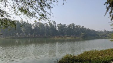 Sanjay Gölü 'nün arka planında, Delhi' de güneşli bir kış sabahında ağaçların yansıması var.