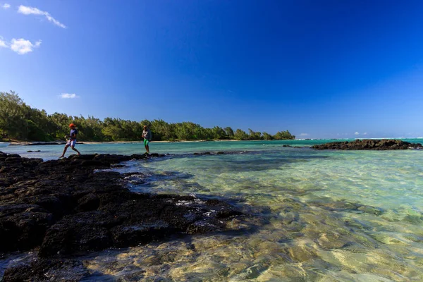 Ile aux Cerfs Island, Mauritius plajlarının manzarası