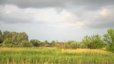 Beautiful countryside landscape in summer. Green grass against the background of green sky and nature