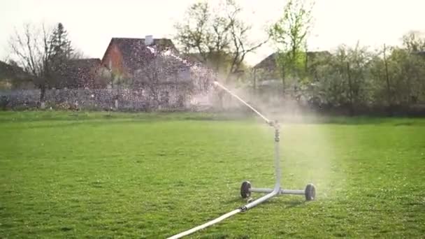 Automatic Lawn Watering Modern Green Grass Irrigation System — Vídeo de stock