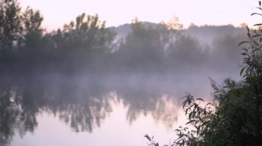 Sabahın erken saatlerinde ormanın yakınındaki nehirde. 