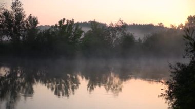 Forest river summer landscape. Spring meadow field Lake