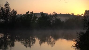 Forest river summer landscape. Spring meadow field Lake