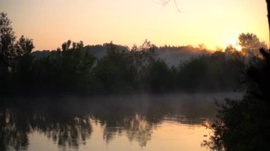 Orman nehri yaz manzarası. Bahar Çayırı Gölü