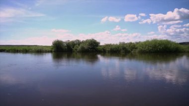 Forest river summer landscape. Spring meadow field Lake