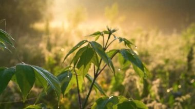 Closeup nature view of green leaves on blurred greenery background in garden with copy space using as background natural green plants landscape, ecology, fresh wallpaper concept. spring tree on blue sky