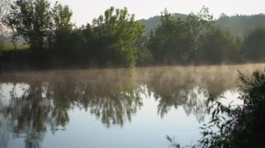 Forest river summer landscape. Spring meadow field Lake