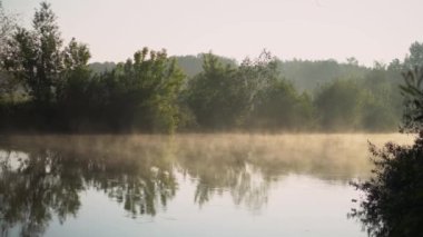 Forest river summer landscape. Spring meadow field Lake