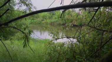 Orman nehri yaz manzarası. Bahar Çayırı Gölü