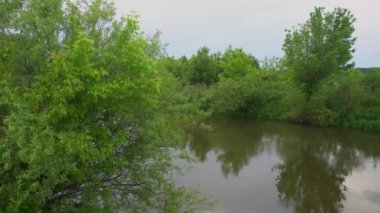 Orman nehri yaz manzarası. Bahar Çayırı Gölü