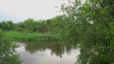 Orman nehri yaz manzarası. Bahar Çayırı Gölü