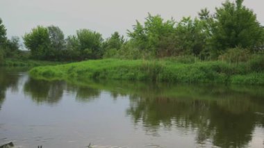 Orman nehri yaz manzarası. Bahar Çayırı Gölü