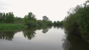 Forest river summer landscape. Spring meadow field Lake
