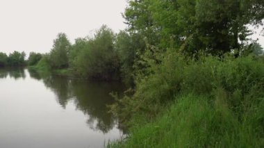 Forest river summer landscape. Spring meadow field Lake
