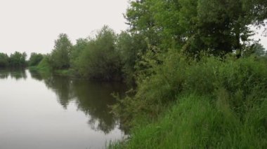 Forest river summer landscape. Spring meadow field Lake