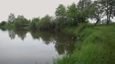 Orman nehri yaz manzarası. Bahar Çayırı Gölü
