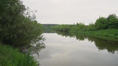 Forest river summer landscape. Spring meadow field Lake