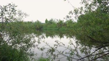 Orman nehri yaz manzarası. Bahar Çayırı Gölü