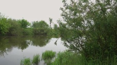 Orman nehri yaz manzarası. Bahar Çayırı Gölü