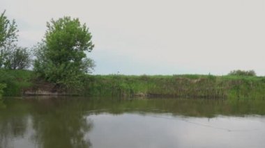 Orman nehri yaz manzarası. Bahar Çayırı Gölü