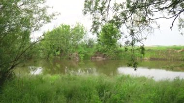Orman nehri yaz manzarası. Bahar Çayırı Gölü