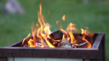 Doğada yemek pişirmek için kamp ateşi. Yanan ateşin görüntüsü.