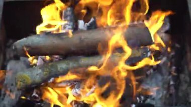 Doğada yemek pişirmek için kamp ateşi. Yanan ateşin görüntüsü.