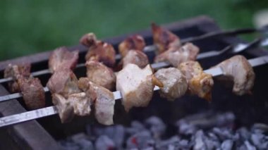 Roasted meat on the grill close-up. Rest and barbecue in nature