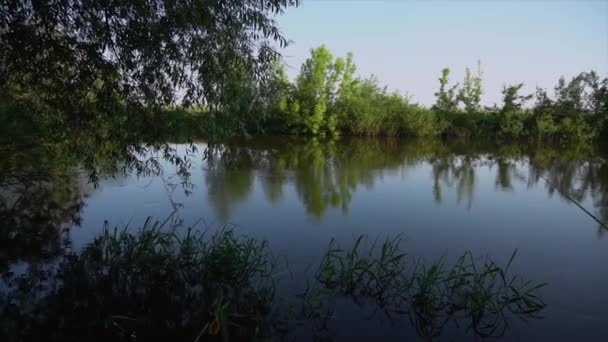 Leśny Letni Krajobraz Rzeki Wiosenne Pole Łąkowe Lake — Wideo stockowe