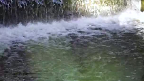 Стара Гребля Річці Крупним Планом Кадри Водоспаду — стокове відео