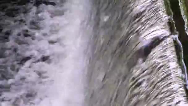 Old Dam River Close Footage Waterfall — Video Stock