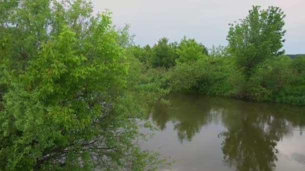 Forest River Summer Landscape Spring Meadow Field Lake — Video