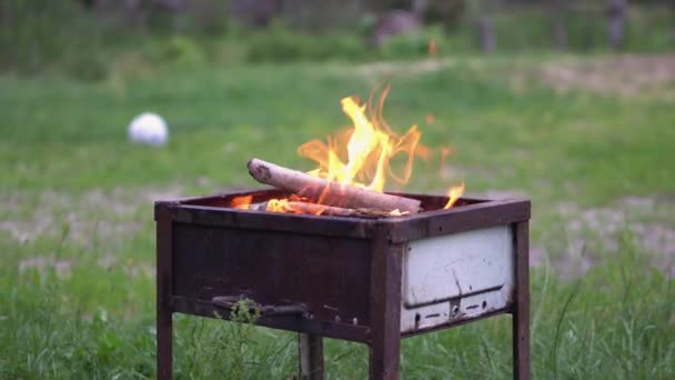 Campfire Cooking Nature Footage Burning Fire — Video