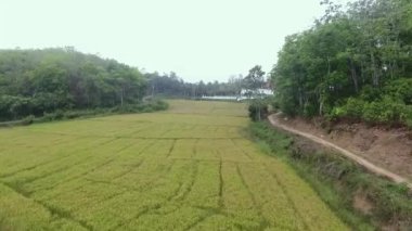 Asya 'daki bir kuadkopterden güzel manzara. Sri Lanka ve Hindistan hava manzarası. Video için görüntü