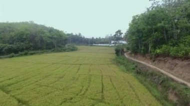 Asya 'daki bir kuadkopterden güzel manzara. Sri Lanka ve Hindistan hava manzarası. Video için görüntü