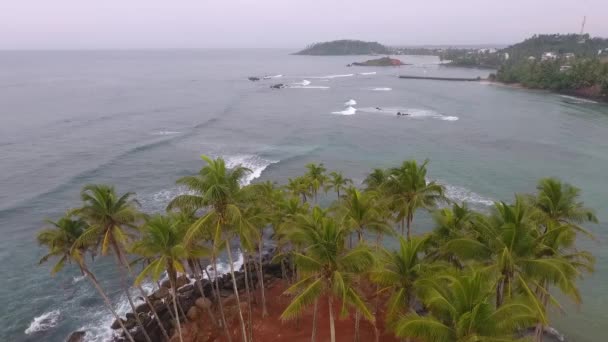 Beautiful View Indian Ocean Coast India Sri Lanka — Stock video