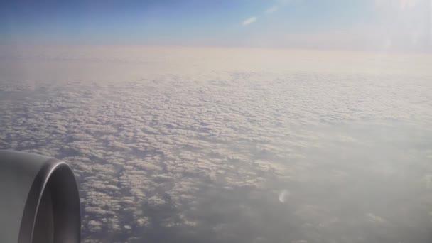 Airplane Flies View Window Video Beautiful Clouds Sun Travel Theme — Stockvideo