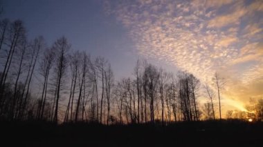 yellow sunlight. Beautiful landscape with sunrise