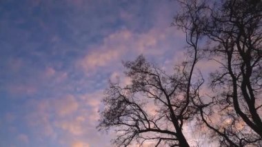 yellow sunlight. Beautiful landscape with sunrise