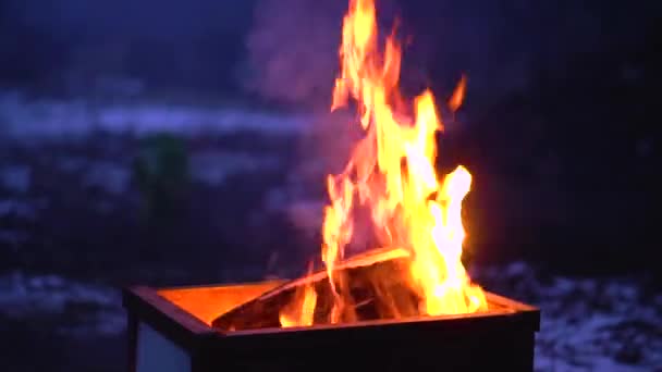 Lagerfeuer Zum Kochen Der Natur Filmaufnahmen Von Brennendem Feuer — Stockvideo