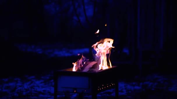 Campfire Cooking Nature Footage Burning Fire — Stockvideo
