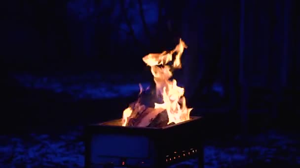 Campfire Cooking Nature Footage Burning Fire — Vídeos de Stock