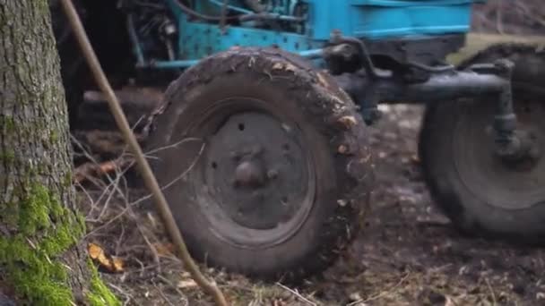 Logging Spring Autumn Forest Technique People Sawing Trees Ecological Catastrophe — Video Stock