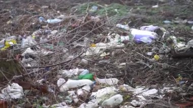 2020 Ukrayna Baharı. Çöpten kaynaklanan çevre kirliliği. Ormanda, sislerin içinde doğanın çöpleri. Parktaki ekolojik felaket
