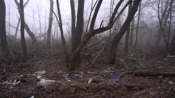 Ukraine Spring 2020 Environmental Pollution Garbage Garbage Nature Forest Fog — Wideo stockowe