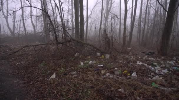 Ukraine Spring 2020 Environmental Pollution Garbage Garbage Nature Forest Fog — Vídeo de Stock