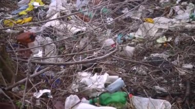 2020 Ukrayna Baharı. Çöpten kaynaklanan çevre kirliliği. Ormanda, sislerin içinde doğanın çöpleri. Parktaki ekolojik felaket