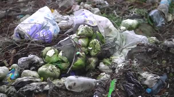 Ukraine Spring 2020 Environmental Pollution Garbage Garbage Nature Forest Fog — Stockvideo